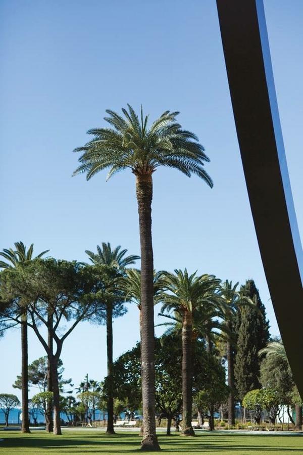 Ste Reparate F4 Moderne, Design, Place Rossetti, Heart Old Town Niza Exterior foto